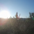 Webcam_20210903-064500