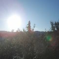 Webcam_20210903-071500