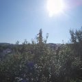 Webcam_20210903-091500