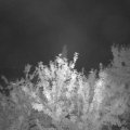 Webcam_20210903-201500
