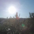 Webcam_20210904-074500