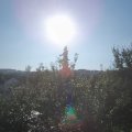 Webcam_20210904-081500