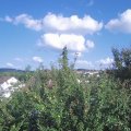Webcam_20210904-161500
