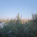 Webcam_20210904-183000