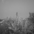 Webcam_20210904-193000