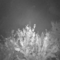 Webcam_20210904-201500