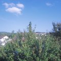 Webcam_20210905-163000