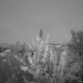 Webcam_20210905-193000