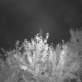Webcam_20210905-204500