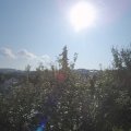 Webcam_20210906-090000
