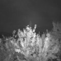 Webcam_20210906-194500