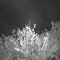 Webcam_20210906-204500