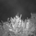 Webcam_20210907-204500