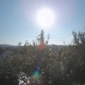 Webcam_20210909-083000