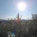 Webcam_20210909-084500