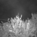 Webcam_20210909-204500