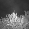 Webcam_20210910-201500