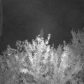 Webcam_20210911-201500