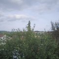 Webcam_20210913-164500
