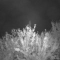 Webcam_20210913-201500