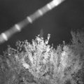 Webcam_20210915-194500