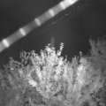 Webcam_20210915-201500