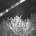 Webcam_20210915-204500