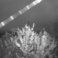 Webcam_20210916-053000