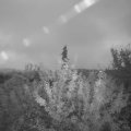 Webcam_20210916-054500