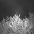 Webcam_20210916-194500