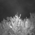 Webcam_20210916-204500