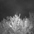 Webcam_20210917-201500