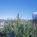 Webcam_20210918-163000