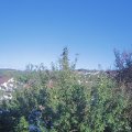 Webcam_20210918-164500