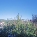 Webcam_20210918-170000