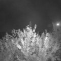 Webcam_20210918-194500