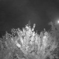 Webcam_20210918-200000