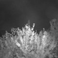 Webcam_20210918-203000