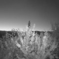 Webcam_20210919-051500