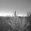 Webcam_20210919-053000