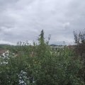Webcam_20210921-141500