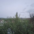 Webcam_20210921-161500