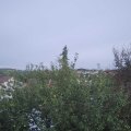 Webcam_20210921-164500