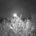 Webcam_20210921-201500