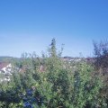 Webcam_20210922-163000