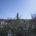 Webcam_20210923-114500