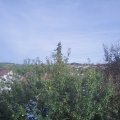 Webcam_20210923-164500