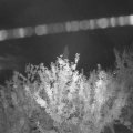 Webcam_20210923-200000