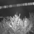 Webcam_20210923-203000