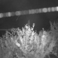 Webcam_20210923-204500
